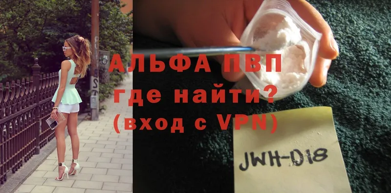 A-PVP СК Сосновый Бор