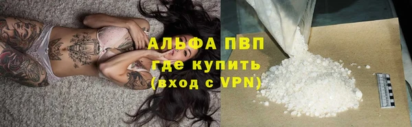 стафф Медногорск