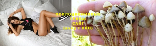 соль курить ск Медвежьегорск