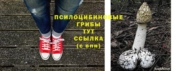 стафф Медногорск