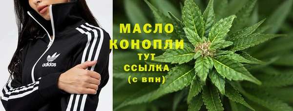 стафф Медногорск
