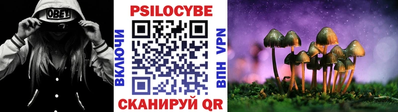 Псилоцибиновые грибы мухоморы  Сосновый Бор 