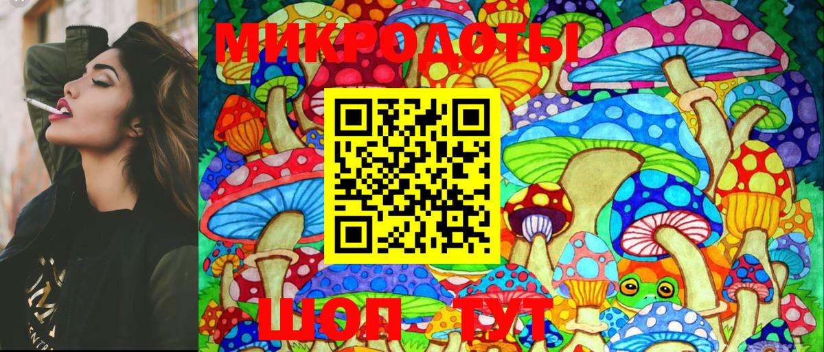 купить наркотик  Псилоцибиновые грибы MAGIC MUSHROOMS  Сосновый Бор  Галлюциногенные грибы Magic Shrooms 