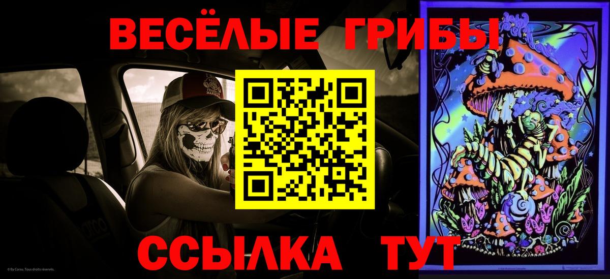 Сосновый Бор  дарнет шоп  Вход с VPN  Псилоцибиновые грибы GOLDEN TEACHER 